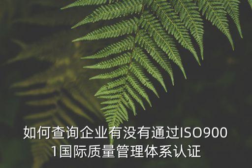 如何查詢(xún)企業(yè)有沒(méi)有通過(guò)ISO9001國(guó)際質(zhì)量管理體系認(rèn)證