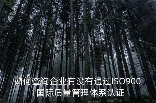 如何查詢企業(yè)有沒有通過ISO9001國際質(zhì)量管理體系認(rèn)證