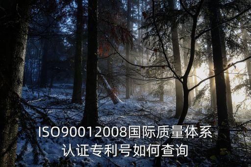 ISO90012008國際質(zhì)量體系認證專利號如何查詢