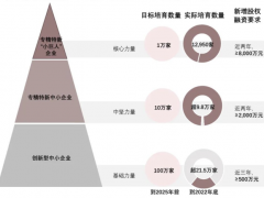 2023全國最新“專精特新”補(bǔ)貼獎(jiǎng)勵(lì)政策匯總