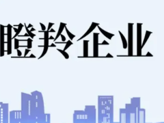 佛山瞪羚企業(yè)認(rèn)定條件、扶持政策最高補(bǔ)貼100萬