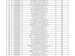 武漢市2024年首次進入規(guī)模以上工業(yè)企業(yè)獎勵資金預(yù)安排情況的公示