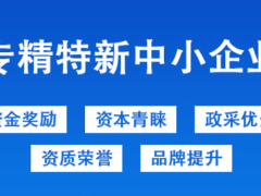 2024河南省專精特新中小企業(yè)認(rèn)定標(biāo)準(zhǔn)及獎(jiǎng)補(bǔ)政策