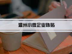 2024年溫州小微企業(yè)補貼和免稅優(yōu)惠政策及小微企業(yè)認定標(biāo)準(zhǔn)