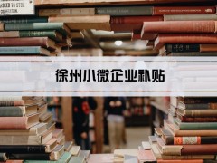 2024年徐州小微企業(yè)補貼和免稅優(yōu)惠政策及小微企業(yè)認定標準