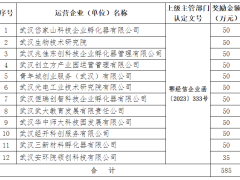 武漢市2024年省級(jí)小型微型企業(yè)創(chuàng)業(yè)創(chuàng)新示范基地獎(jiǎng)勵(lì)資金預(yù)安排公示